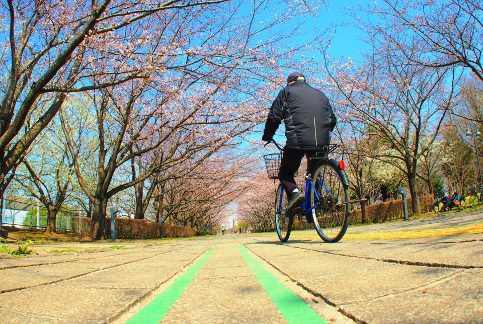 包茎手術の真実：知っておきたい選択肢とその効果